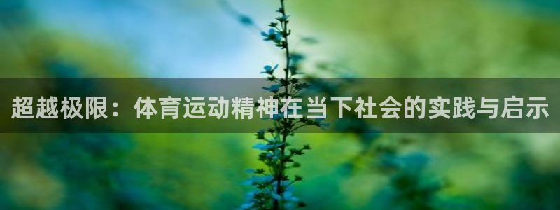oety欧亿
