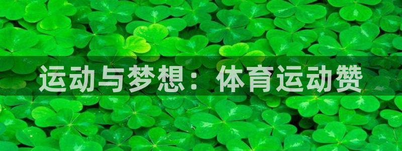 oety欧亿