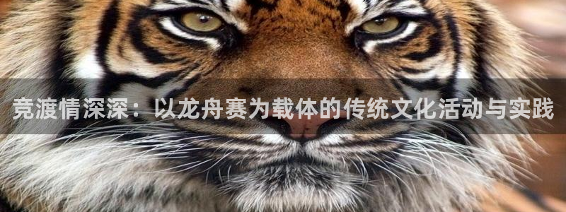 oety欧亿