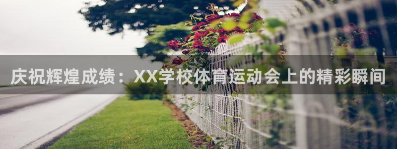 oety欧亿