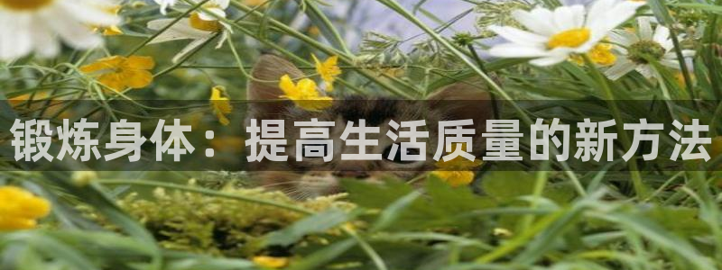 oety欧亿