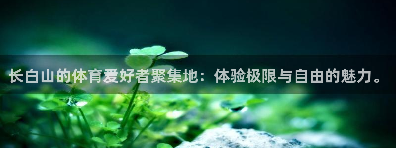 oety欧亿