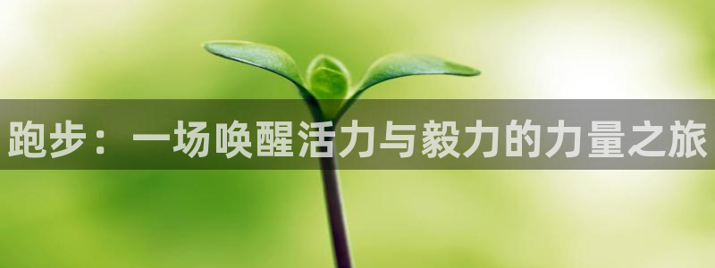 oety欧亿