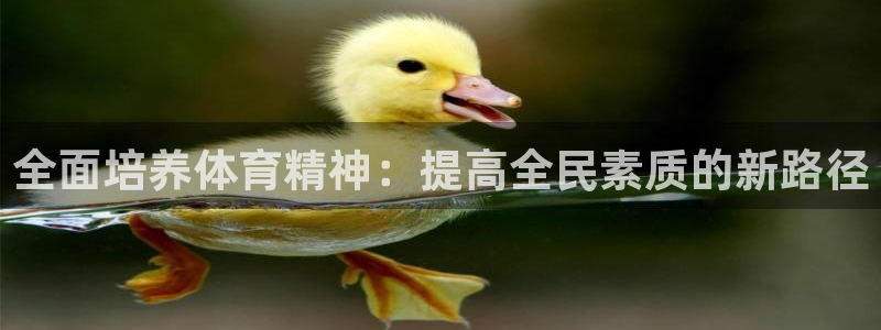 oety欧亿