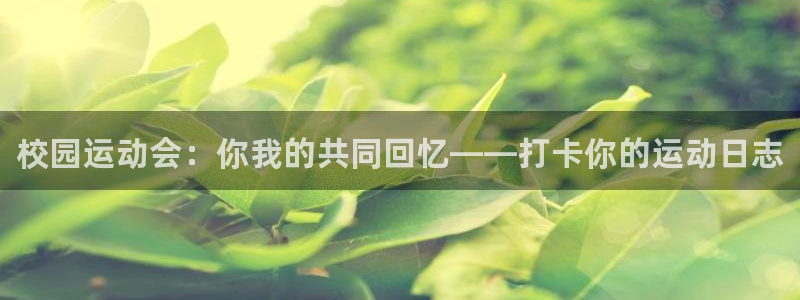 oety欧亿