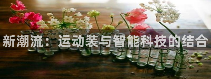 oety欧亿