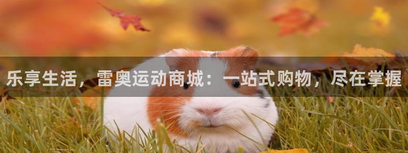 oety欧亿
