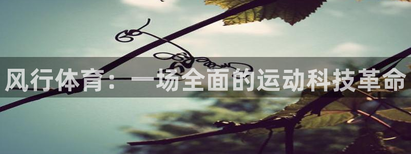 oety欧亿