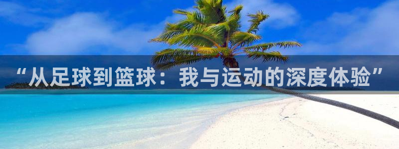 oety欧亿