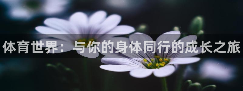 oety欧亿