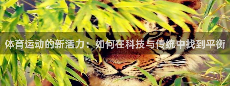 oety欧亿