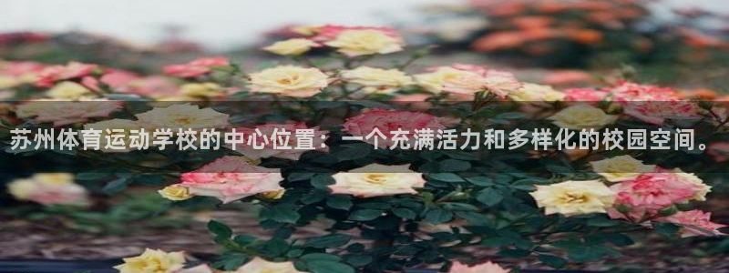 oety欧亿
