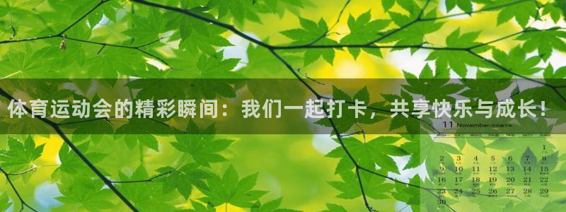 oety欧亿
