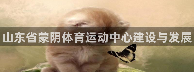 oety欧亿