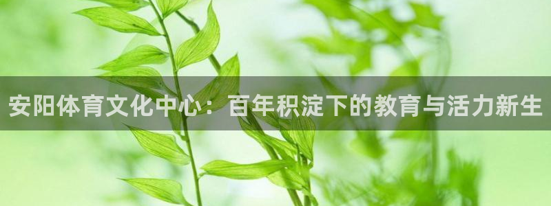 oety欧亿