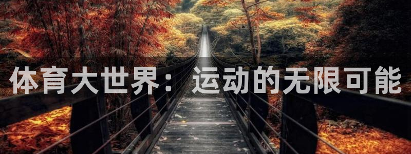 oety欧亿