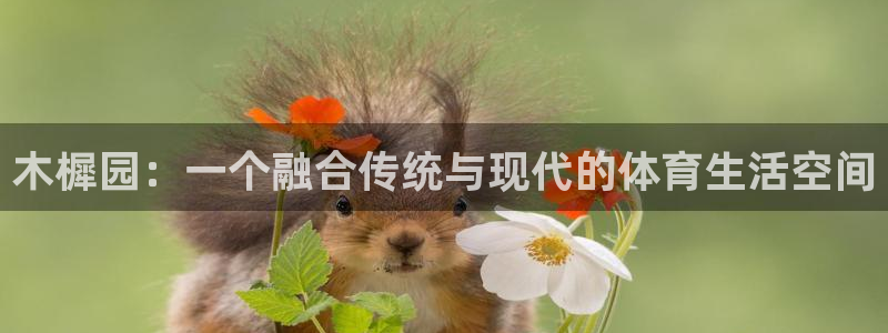 oety欧亿